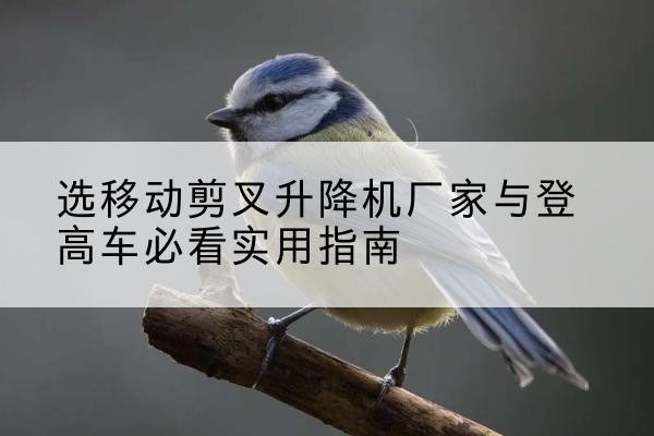 融安电动升降机厂家-选移动剪叉升降机厂家与登高车必看实用指南
