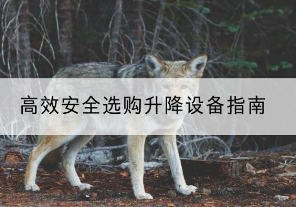 融安升降货梯厂家推荐-*安全选购升降设备指南