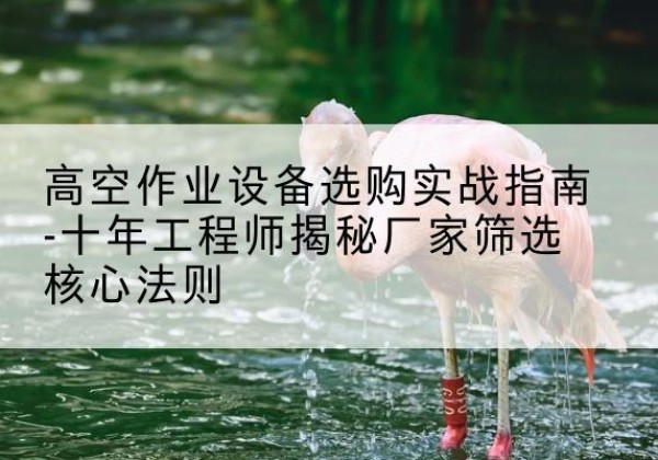 融安剪叉式升降机厂家-高空作业设备选购实战指南-十年工程师揭秘厂家筛选核心法则